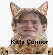 Image result for Kit Connor Memes