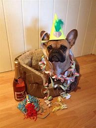Image result for Happy New Year French Bulldog Jpg