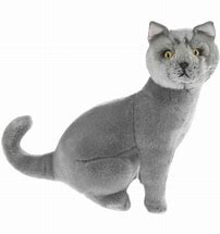 Image result for Blue Cat Toy