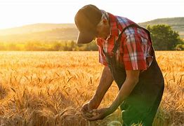 Image result for Farmer in Field