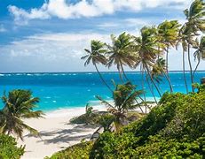Image result for Caraibi