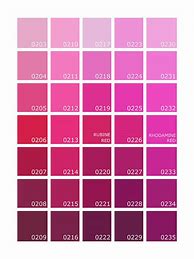 Image result for Ultra Pink Color