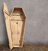 Image result for Upright Wooden Coffin