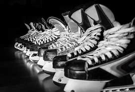 Image result for Best Ice Hockey Player