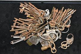 Image result for Indian Skeleton Keys