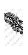 Image result for Feather Quill Pen and Ink