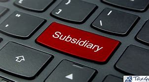 Image result for Subsidiary wikipedia
