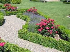 Image result for Lavender Rose Garden