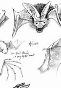 Image result for Realistic Bat Wings Drawing