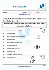 Image result for 5 Sense Organs Worksheet