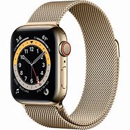 Image result for Meijer Apple Watch 6