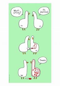 Image result for Funny Wildlife Cartoons