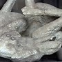 Image result for Pompeii Bodies Found with Jewelry