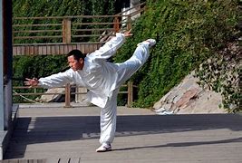 Image result for Kung Fu Fighter