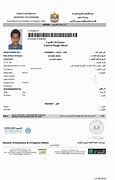 Image result for Visa Approved UAE