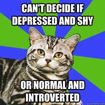Image result for Introvert Cat Meme