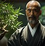Image result for Japanese Aikido