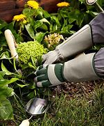 Image result for Long Gardening Gloves for Women