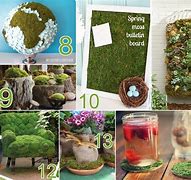 Image result for Moss Crafts