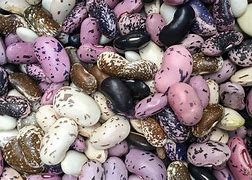 Image result for Expensive Beans