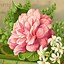 Image result for Vintage Birthday Flowers