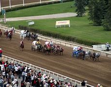 Image result for Calgary Stampede Wild Horses Racing
