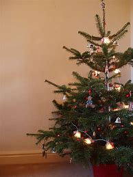 Image result for 210cm Christmas Tree