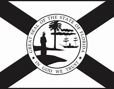 Image result for FL State Flag