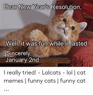 Image result for Funny Hapoy New Year Cats