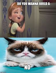 Image result for Frozen Grumpy Cat Memes