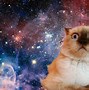 Image result for Cat with Money Ring Camera Meme