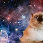 Image result for Space Cat Art