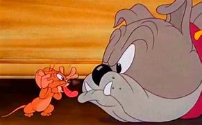 Image result for Tom and Jerry Cartoon Dog