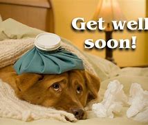 Image result for Funny Get Well Memes
