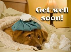 Image result for Funny Get Well Pics