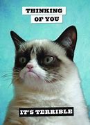 Image result for Funny Grumpy Cat Halloween