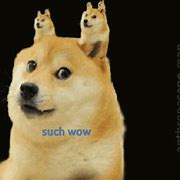 Image result for Doge Meme WoW