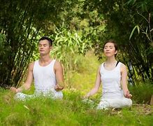 Image result for Tai Chi vs Yoga