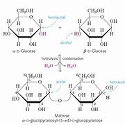 Image result for Apple Carbohydrates Structure
