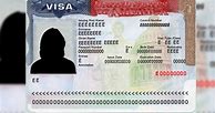 Image result for US Visas Declaration Examples