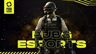 Image result for Imvrk Pubg eSports Player