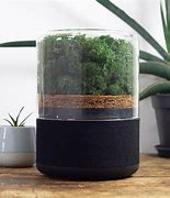 Image result for Eco-Friendly Air Purifiers