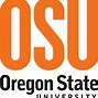 Image result for OSU Triangle PNG