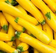 Image result for Squash Color