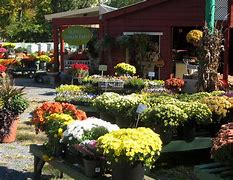 Image result for Beautiful Farmers Market