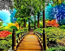 Image result for Nature Wallpaper Ideas