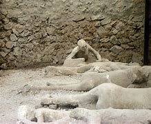 Image result for Bodies Found in Pompeii