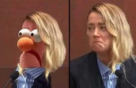 Image result for Amber Heard Muppet Meme