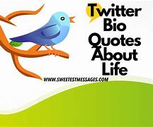 Image result for Twitter Bio Quotes