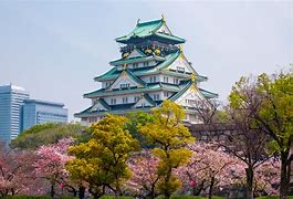 Image result for Osaka Castle Cherry Blossoms